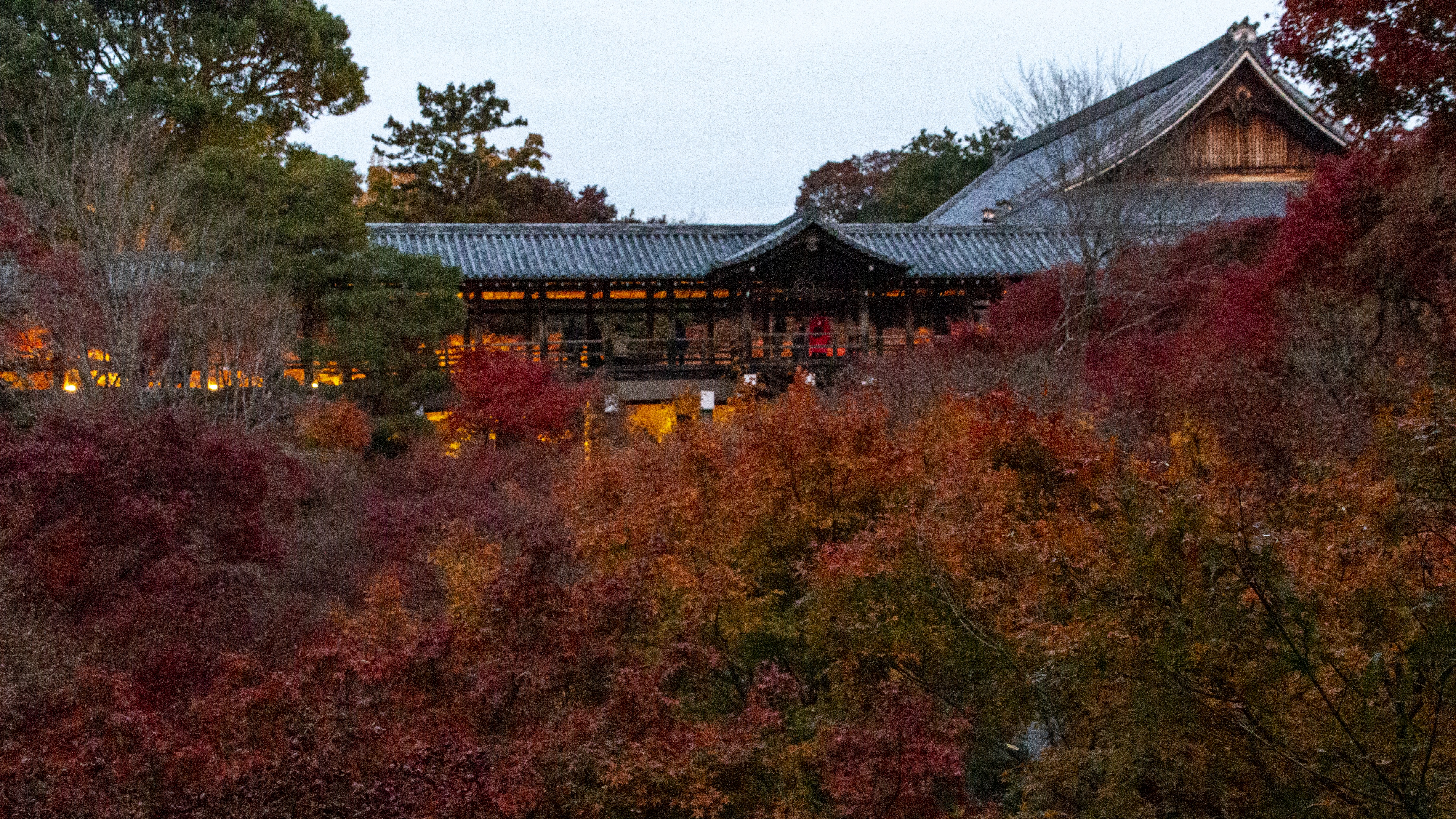 晩秋の東福寺通天橋