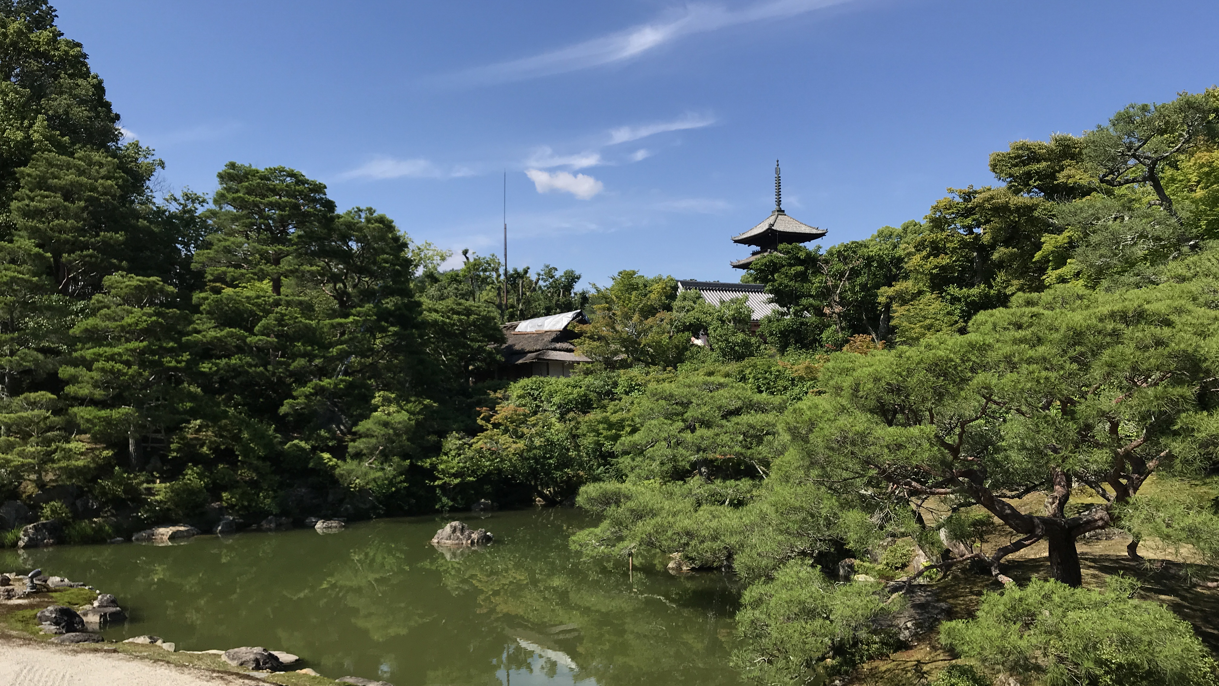 御室仁和寺御殿北庭