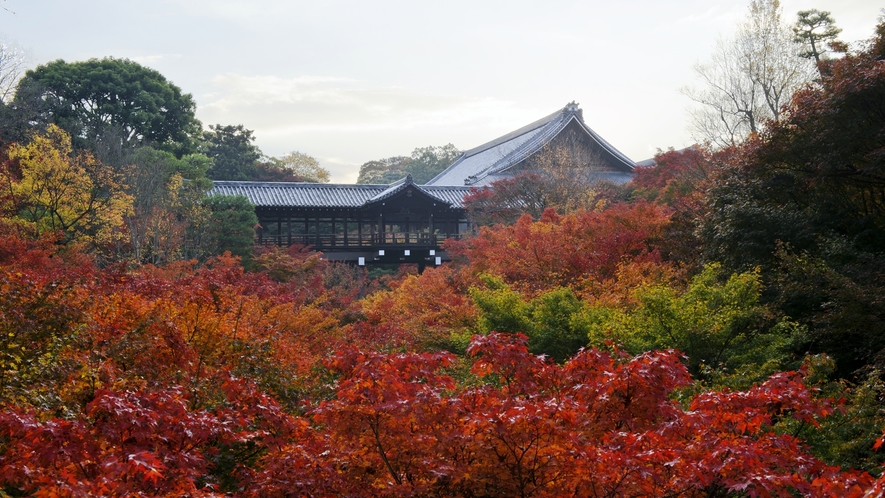 *【東福寺】紅葉の名所として人気のスポットです！