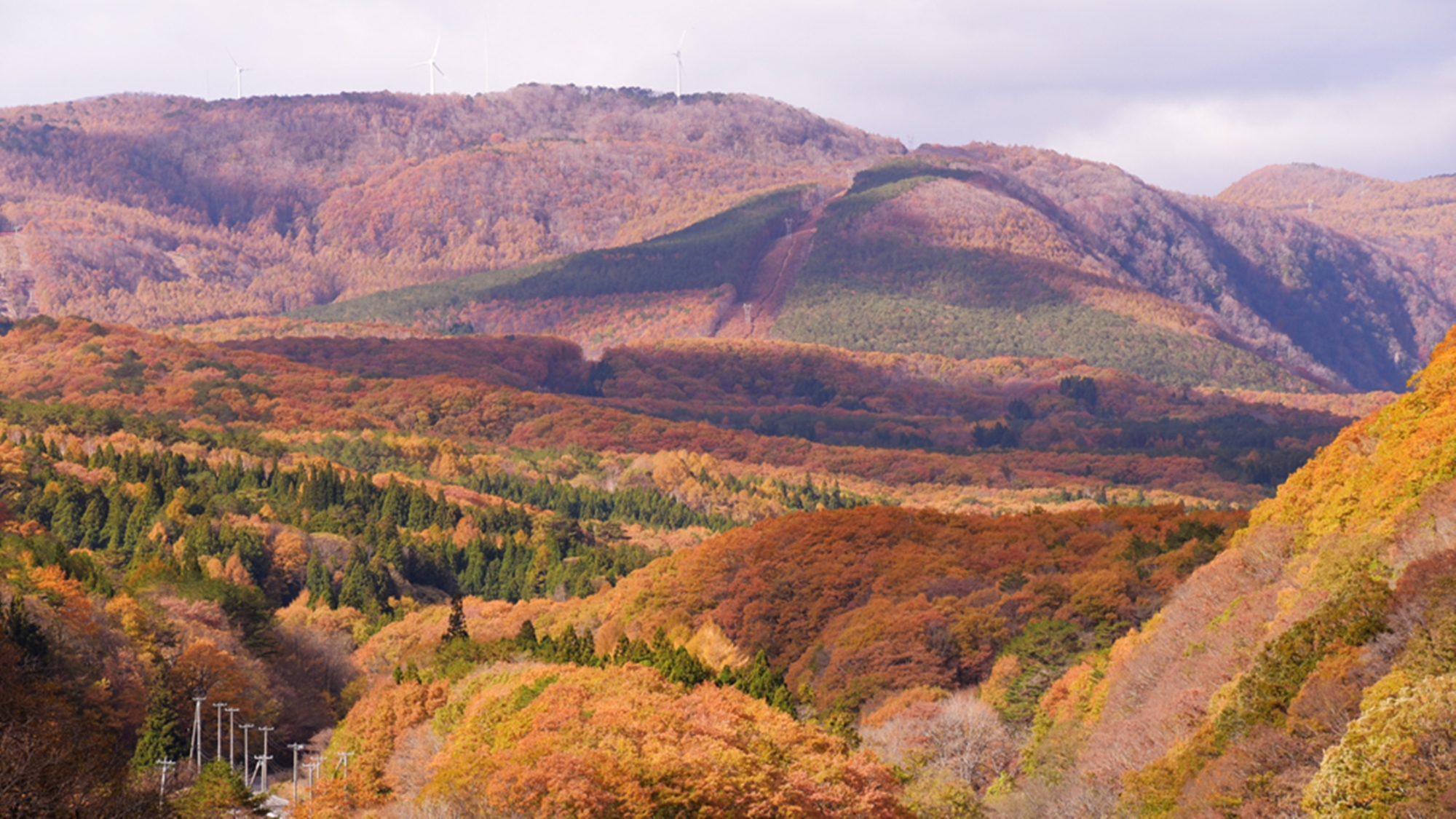 *季節の風景(秋)／折り重なるように紅葉する山々。赤・黄・緑と様々な色が混ざり合う様子は絶景！