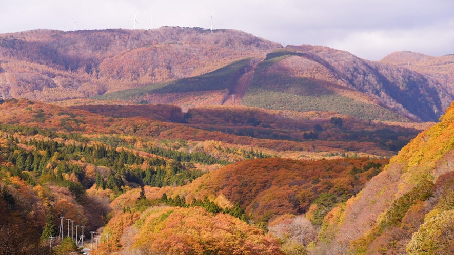 *季節の風景(秋)／折り重なるように紅葉する山々。赤・黄・緑と様々な色が混ざり合う様子は絶景！