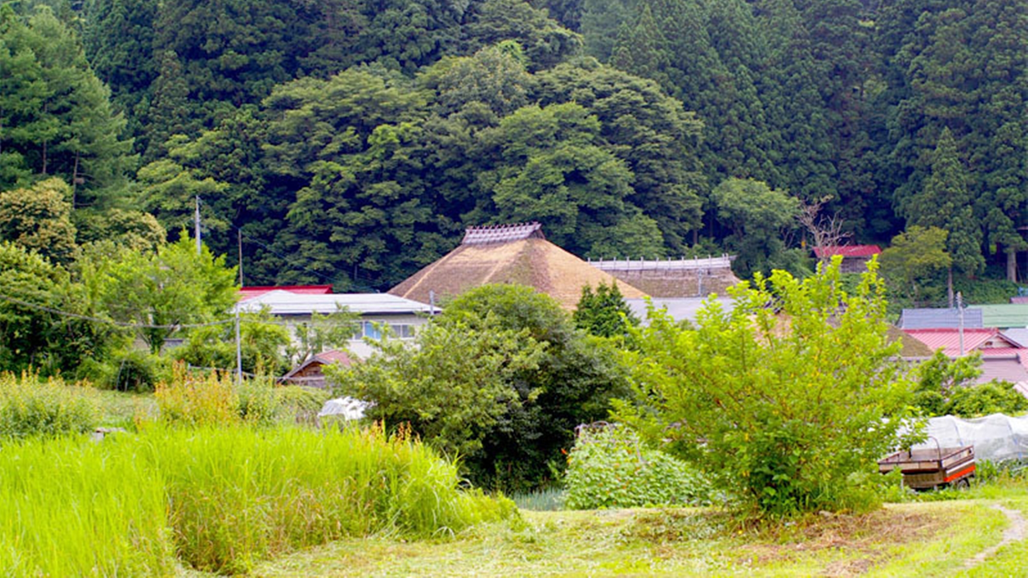 *季節の光景(春)／緑がいきいきとしてくる季節