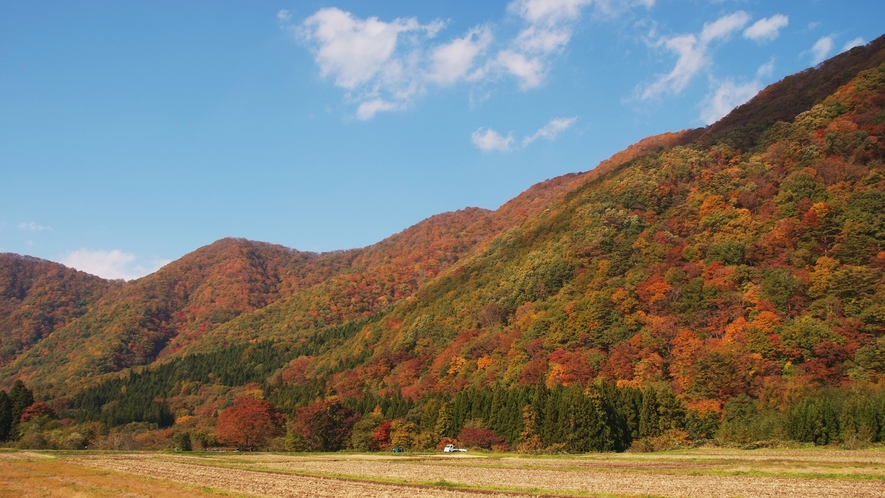 *季節の風景(秋)／稲刈りが終わるころには、空も高く山々の色づきも鮮やかさを増してきます。