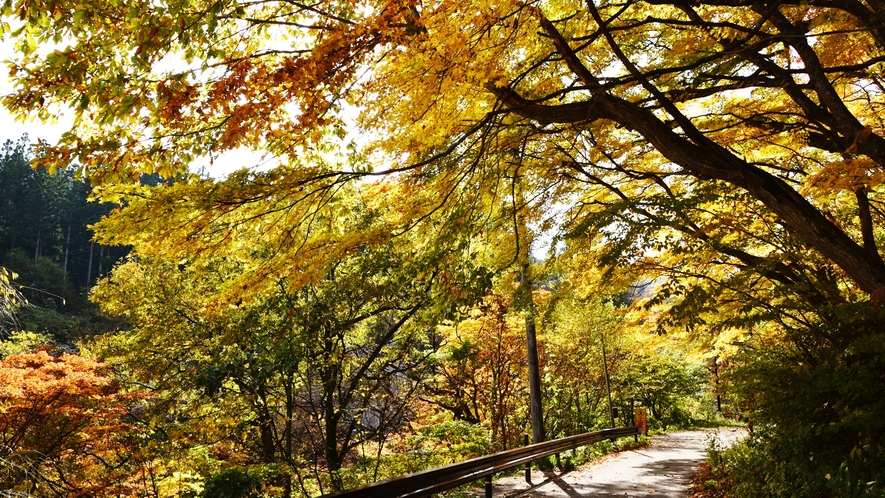 *季節の風景(秋)／当館までの道中には紅葉を楽しめるスポットもたくさん！おすすめをご案内します。