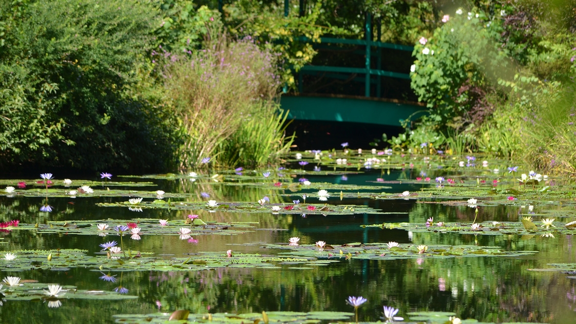 【自然体験プラン】北川村「モネの庭」マルモッタン入園チケット付きプラン