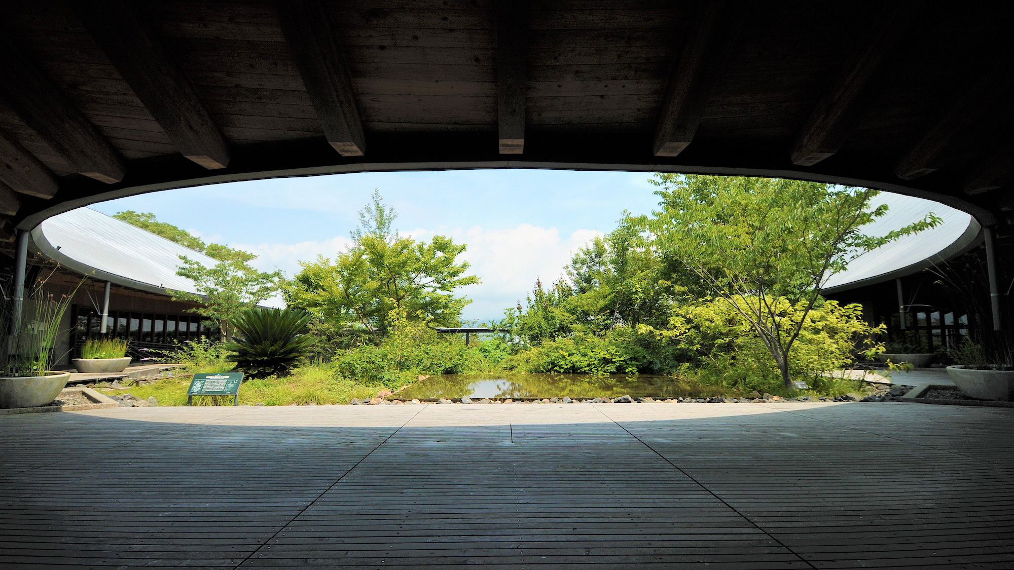 ■牧野植物園　中庭（高知市提供）