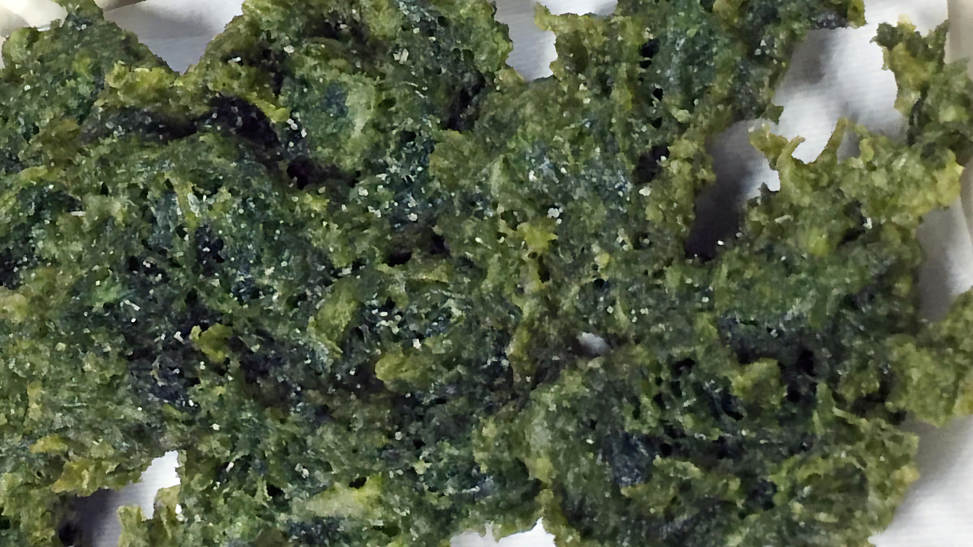 ■ひろめ市場　四万十あおさ天（イメージ）