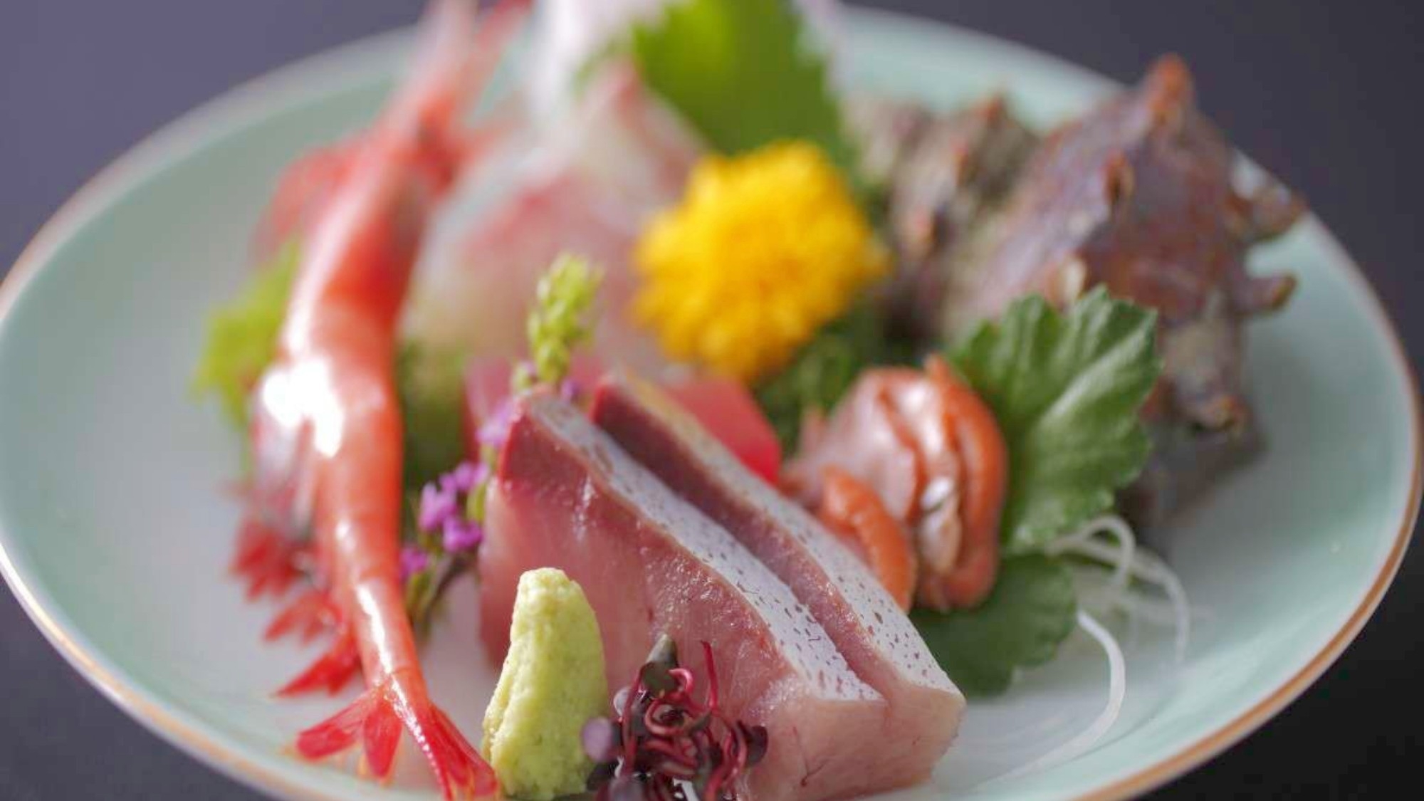 【能登で味わう「汐会席」】海の幸メイン お刺身＆旬の味を楽しむ熱々季節の釜飯付