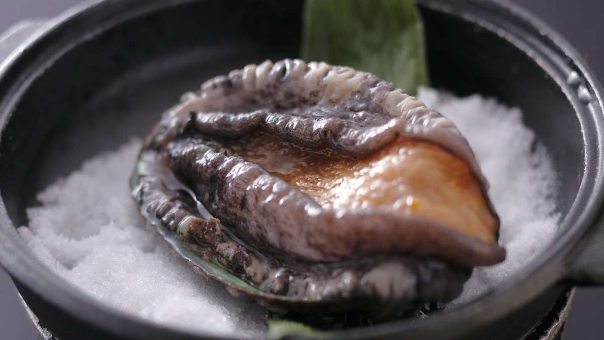 【当館人気No.1！望会席】メインは活鮑の陶板焼き付の望会席＆旬を楽しむ季節の釜飯付