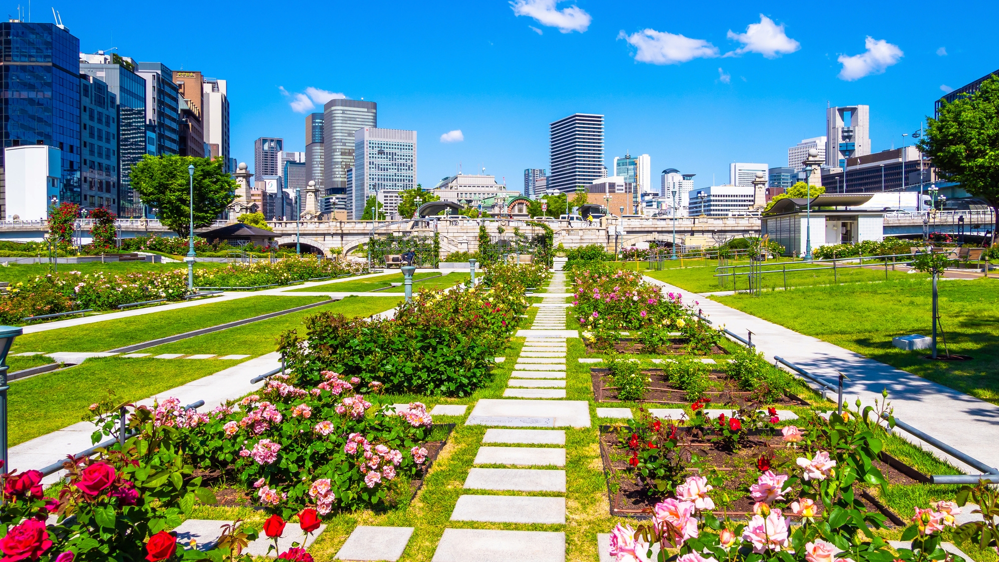 【当館から徒歩で約15分】中之島公園