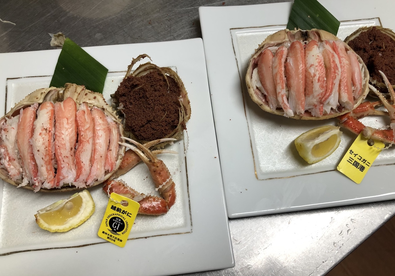 【茹でカニ大】越前がにフルコースプラン＜かにしゃぶ＋雑炊付＞【訳ありだけどやっぱり三国産が美味い！】