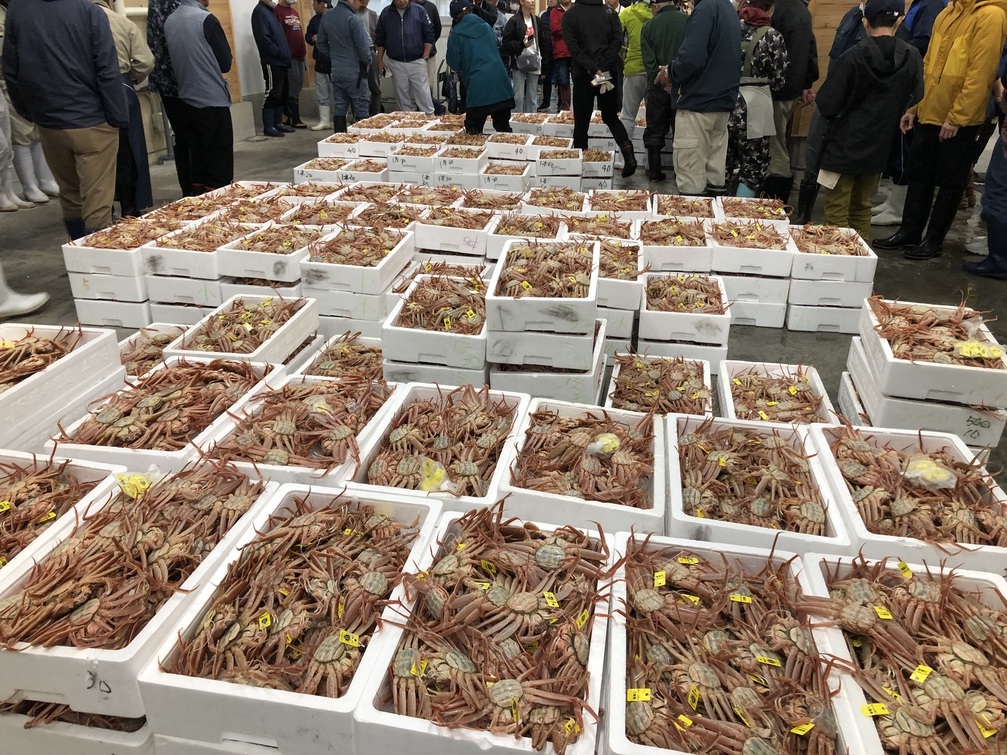 【越前蟹姿茹で特大！】三国皇室献上クラスの大きさ◆極上！越前ガニフルコースプラン＜超贅沢海の幸＞
