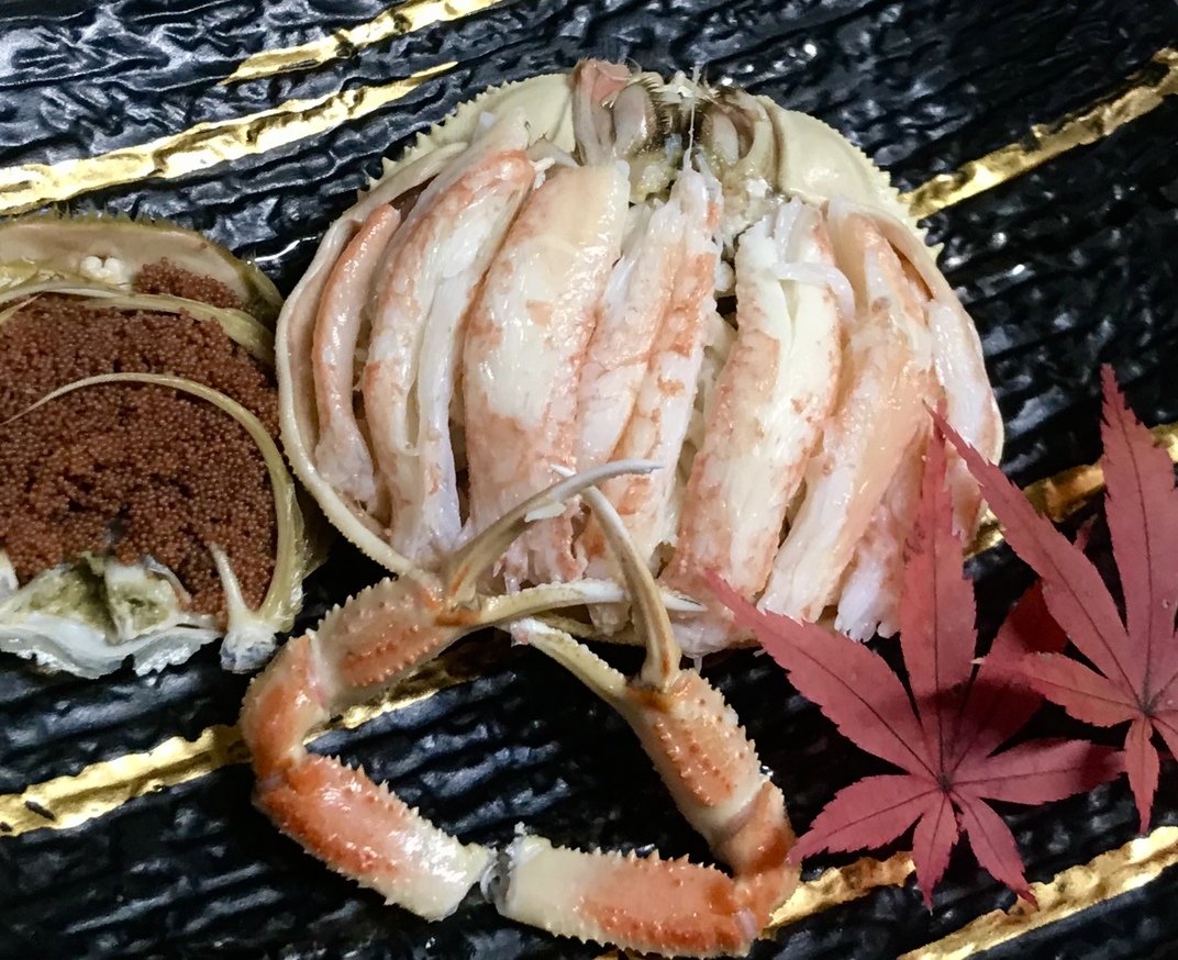 【茹でカニ中】越前がにフルコースプラン＜かに鍋付＞【訳ありだけどやっぱり三国産が美味い！】