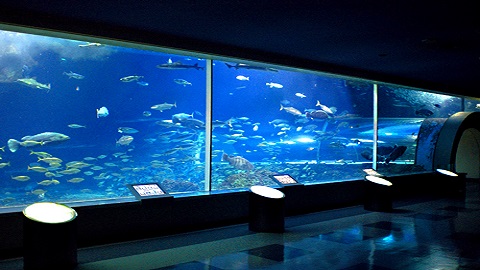 新潟県最大の水族館　マリンピア日本海