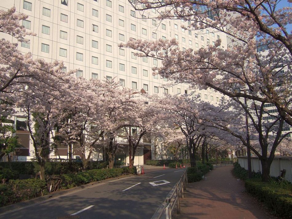 ニューオータニイン東京 - 写真 234