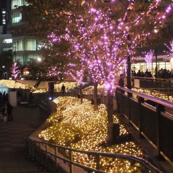 ニューオータニイン東京 - 写真 258