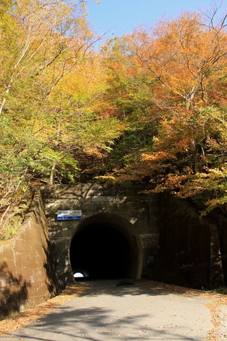 紅葉の雲早トンネル