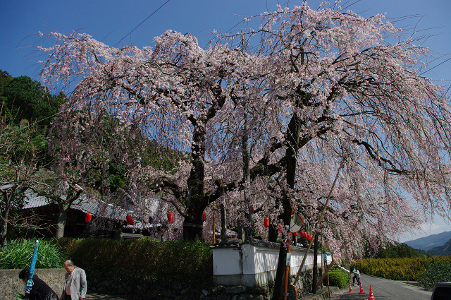 周辺観光地：明王寺