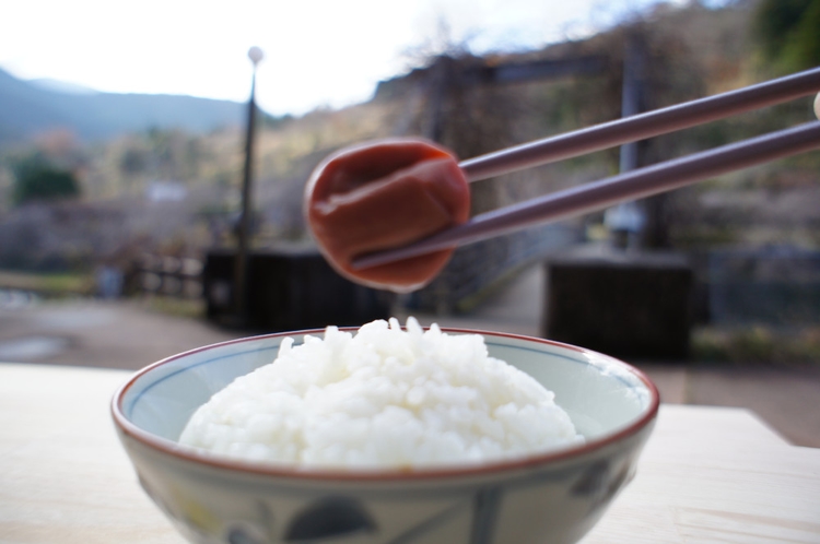 棚田米の美味しい白ご飯