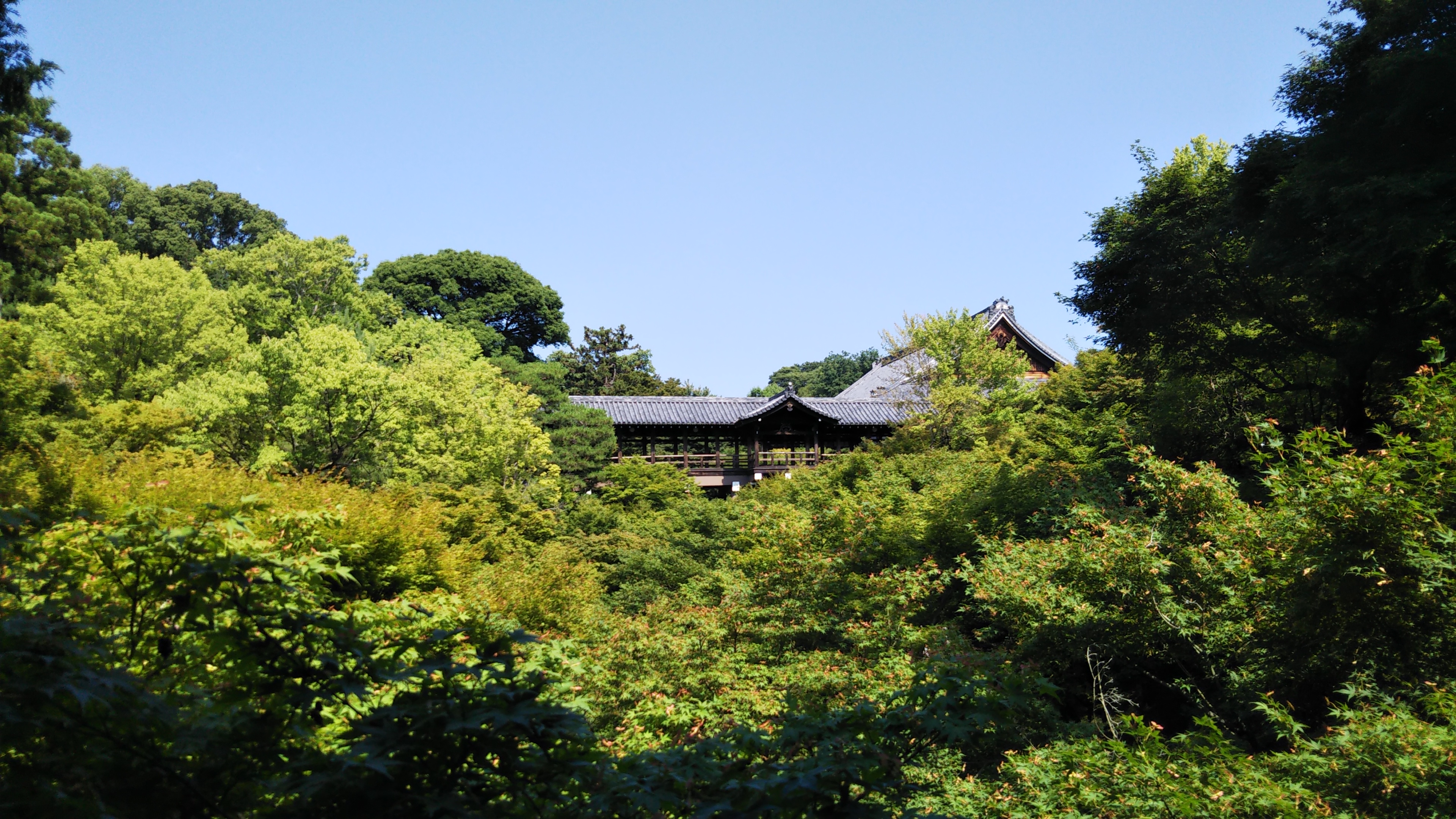 東福寺：市バス202・207「東福寺」下車◆撮影GR◆