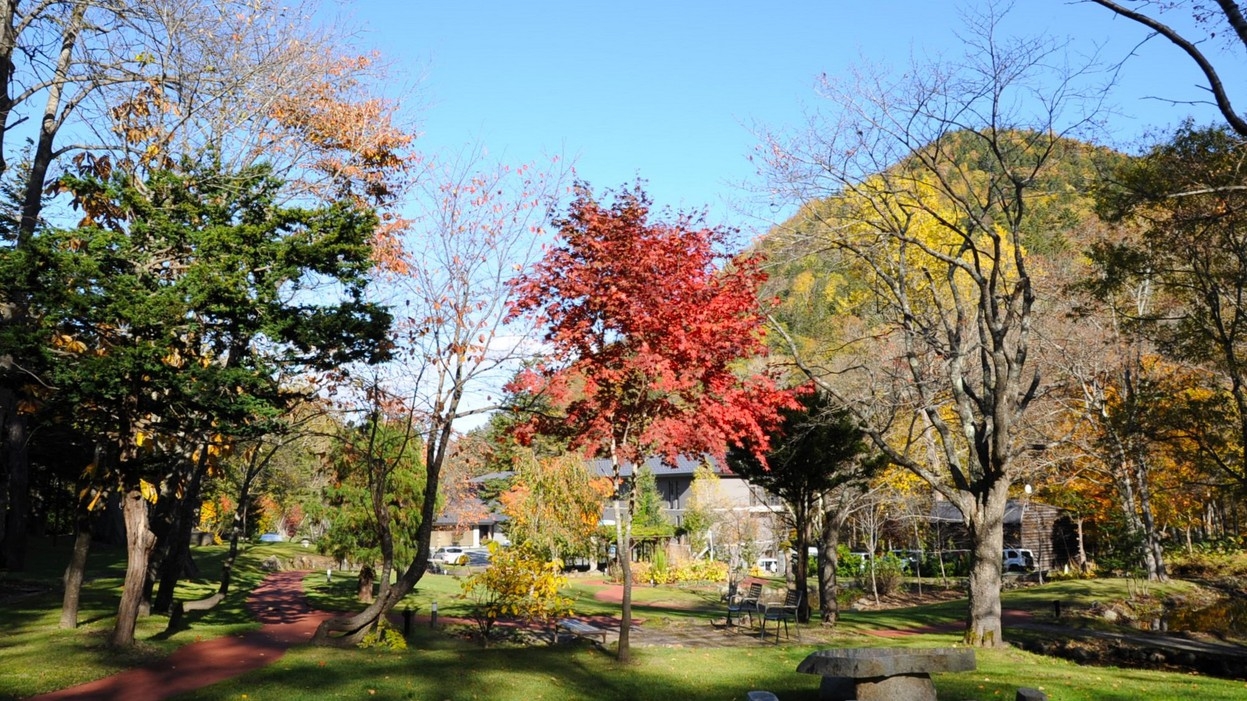 【24時間滞在】紅葉の森に棲む。温泉オーベルジュの秋〈9/1〜11/30〉