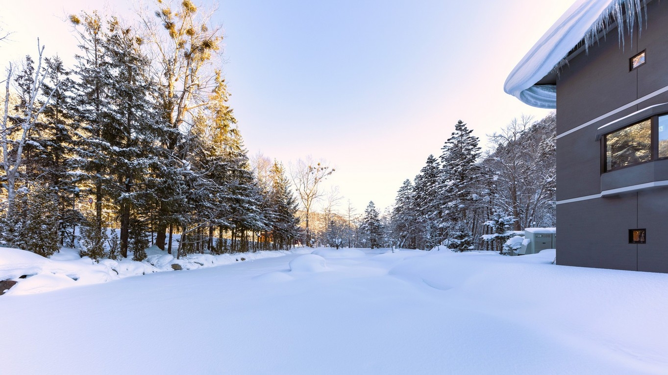 【春SALE】 旬が煌く『奥定山渓イタリアン』ディナーコースを堪能／森の展望温泉付客室