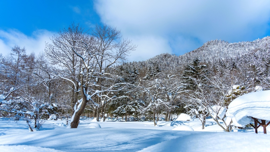 【庭園】約3000坪もの広大な敷地に真っ白な雪が降り積もる様子は圧巻