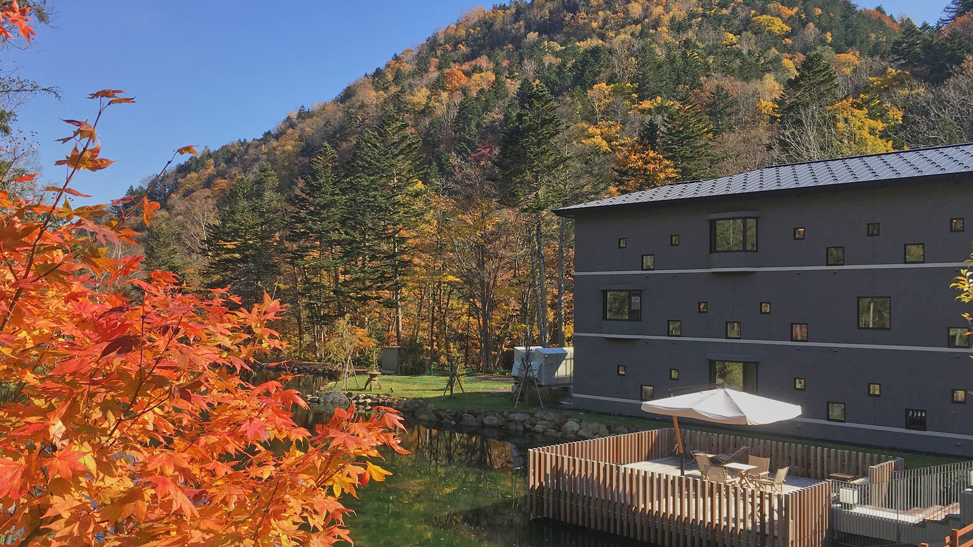 【かぜテラス】毎年10月の中旬が紅葉の見頃