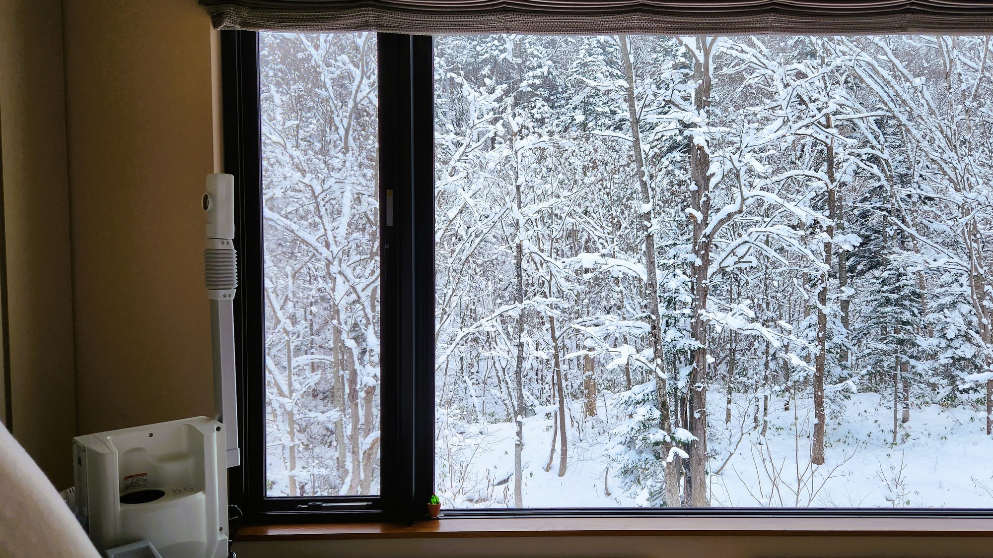 【エステサロン美湯手 bi-you-te】窓の向こうに広がる森を眺めながら心地よさとキレイを叶える特