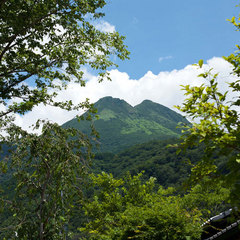 敷地内からの由布岳