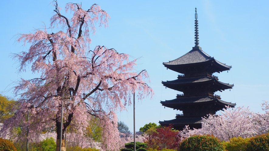 ■東寺■五重塔がよく知られている世界遺産・東寺。京都駅から歩いて約15分。
