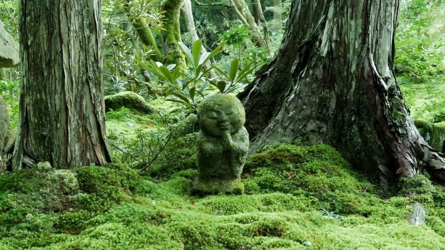 ■三千院■ひっそり佇むわらべ地蔵。山里の澄んだ空気を感じながら心静かに美しい庭を眺めてみては。