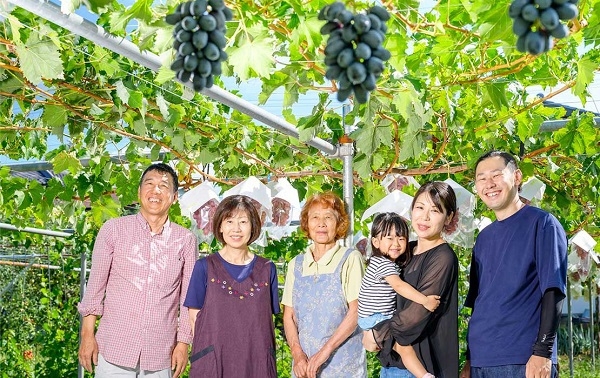 【限定プラン】【一泊2食付き】ワイン用ぶどうの収穫体験プラン★お礼付★