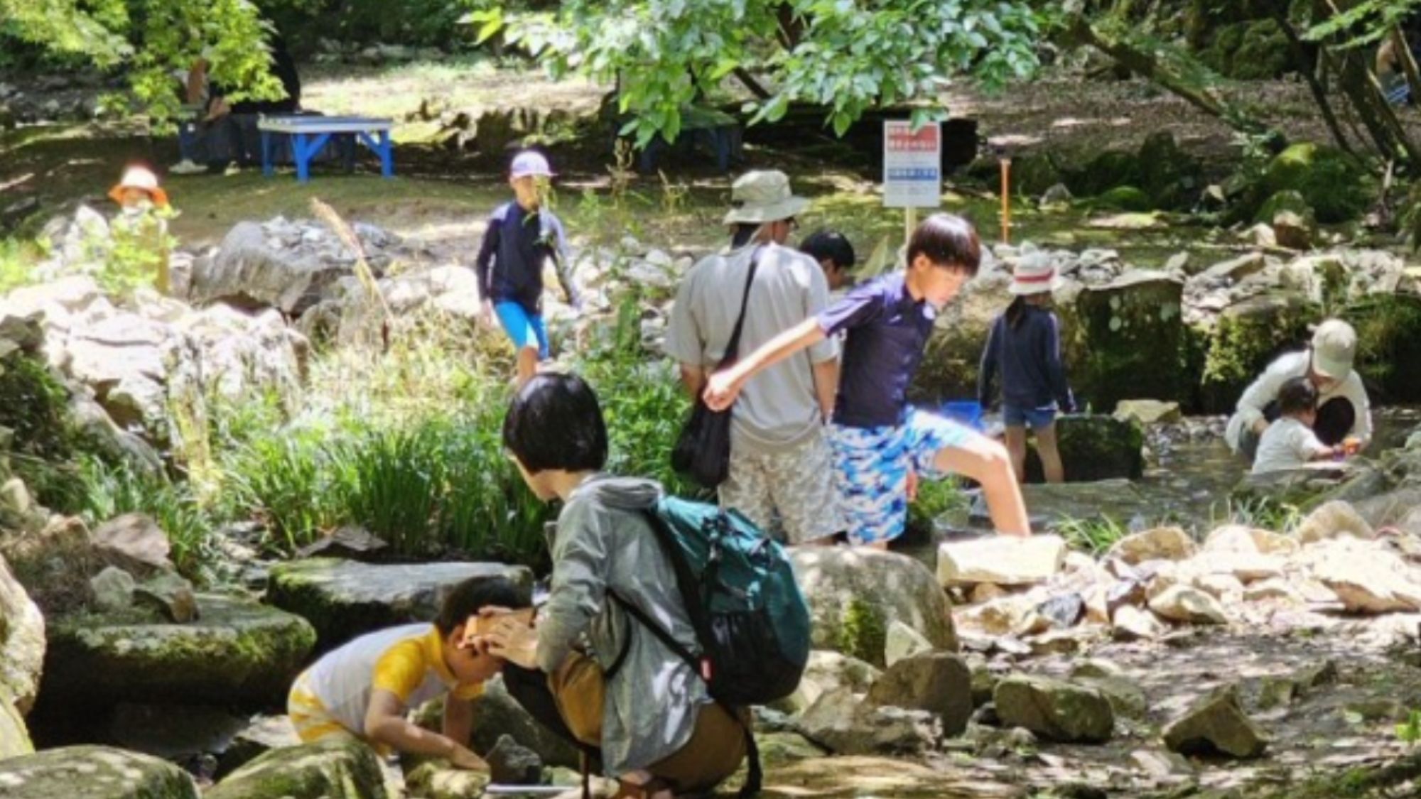 木々が生い茂る木陰の下、澄みきった清流は、夏でも涼しい空気に包まれた癒やしの空間です。