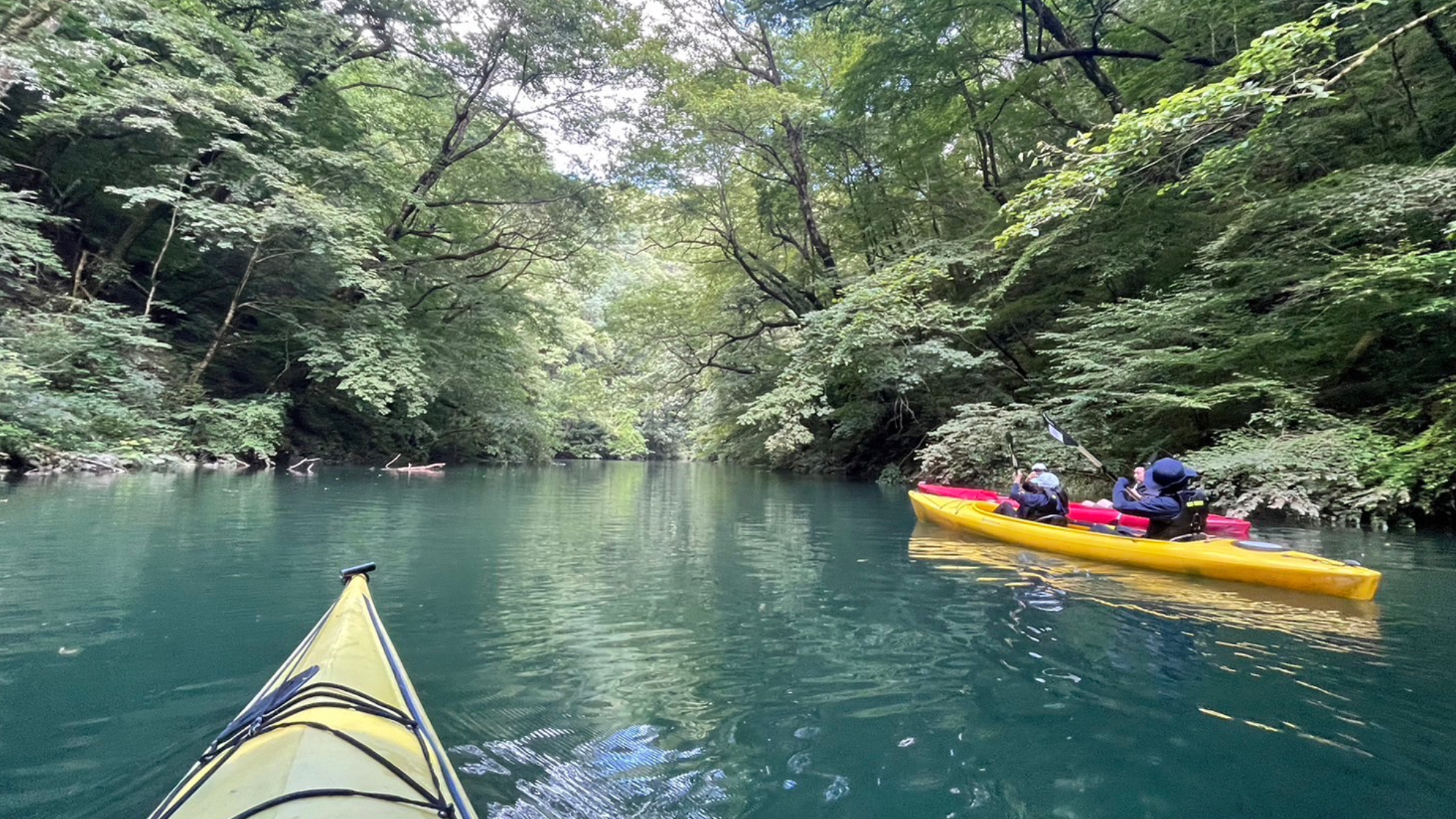自然に囲まれた広大な敷地で、日常を離れた非日常体験を満喫できます。