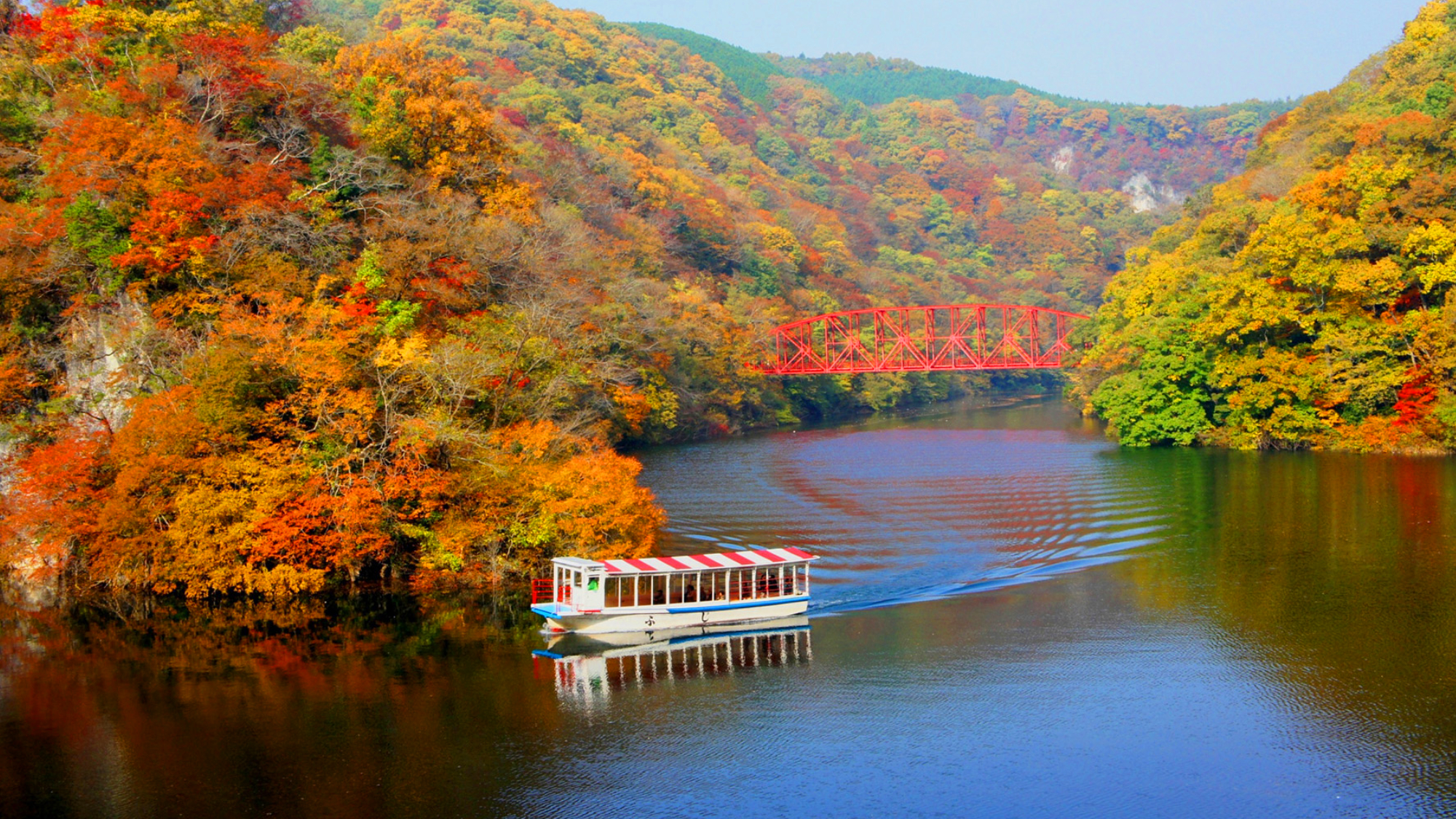 一面を染める紅の錦、非日常へと誘う秋の峡谷
