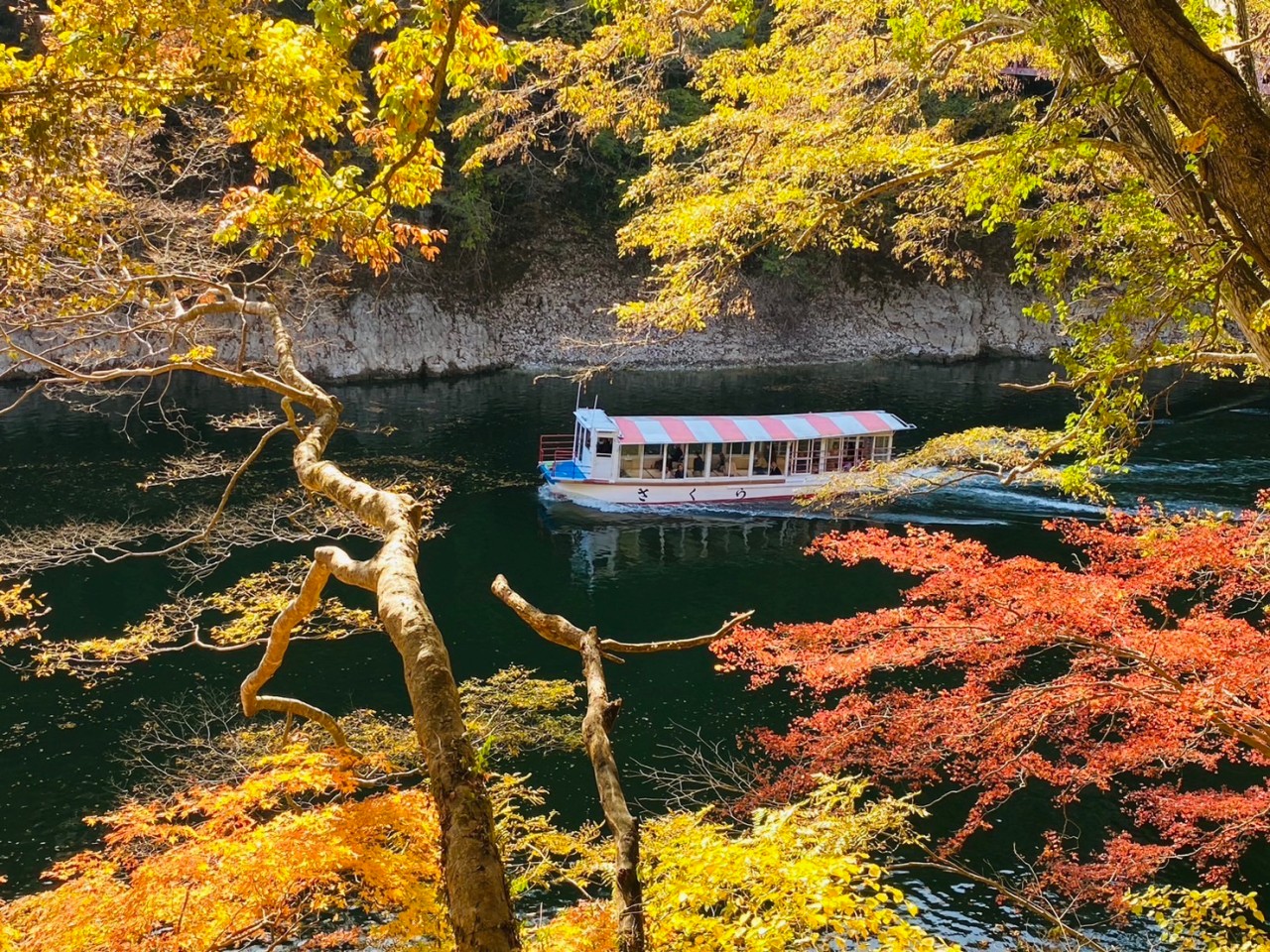 秋の遊覧船