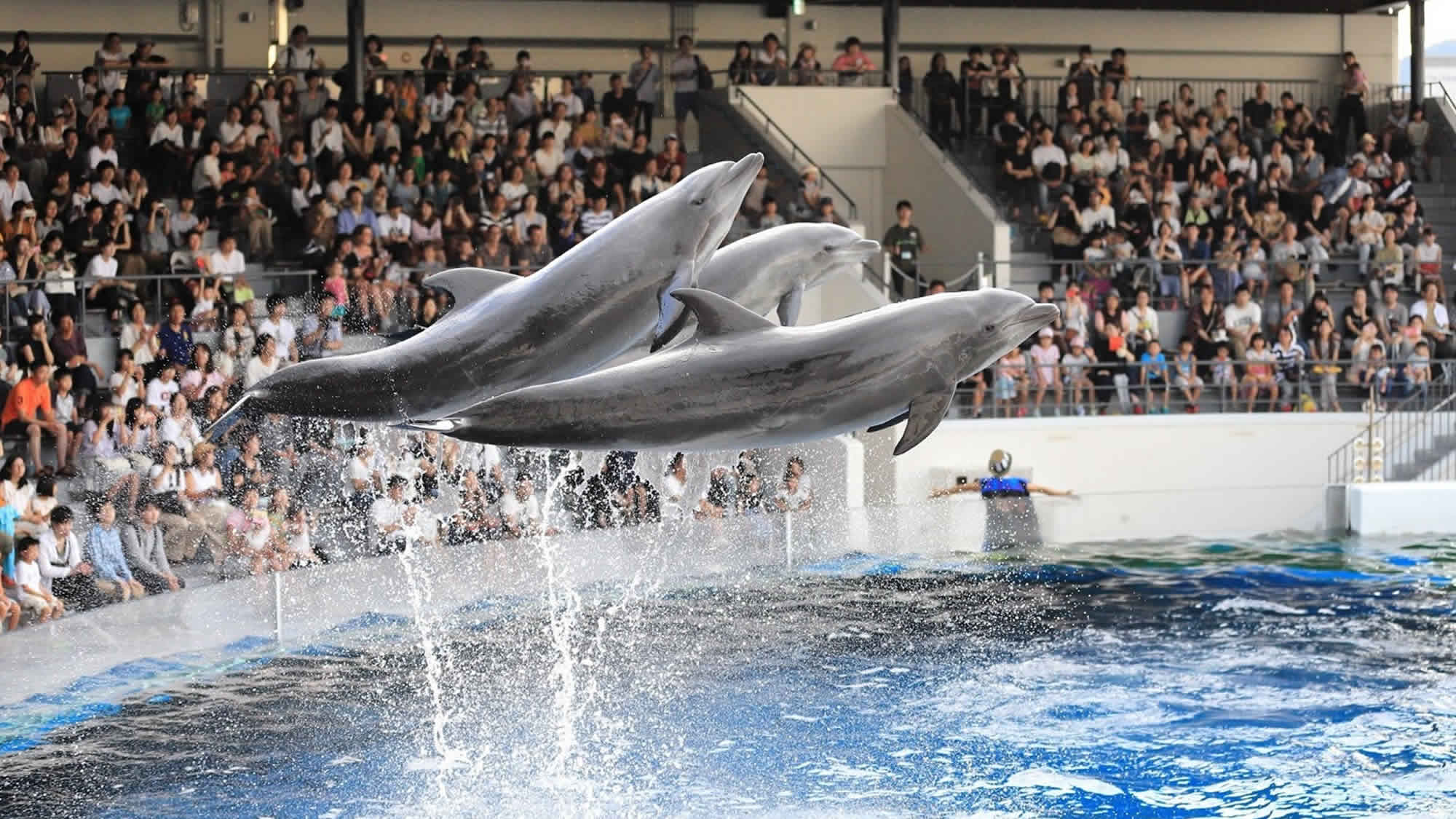 京都水族館