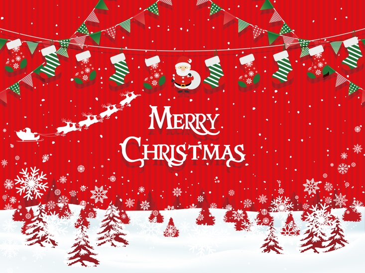 【イベント付き宿泊プラン】2025クリスマスパーティープラン