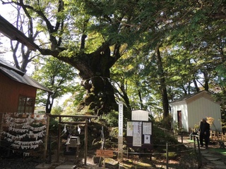 観光　熊野神社3