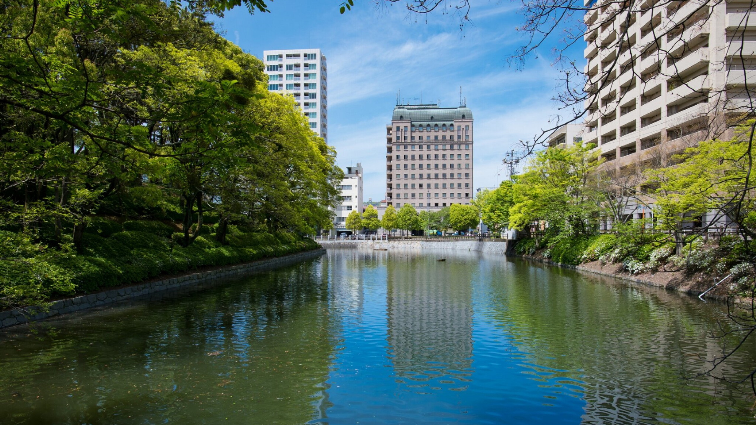  ■遠景（国道196号線・西堀端通り沿い)