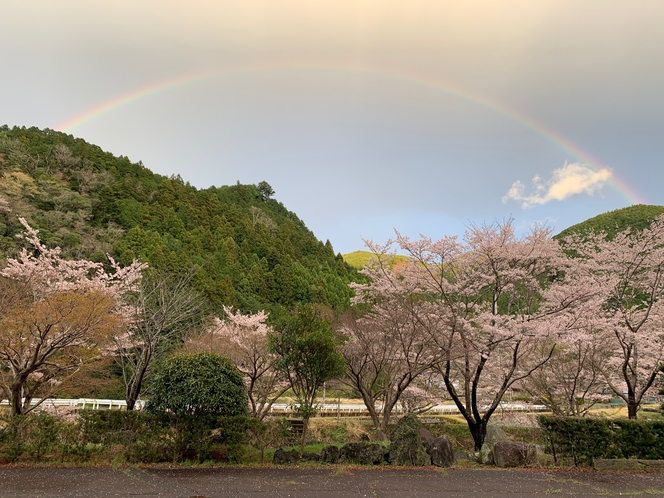 駐車場　虹