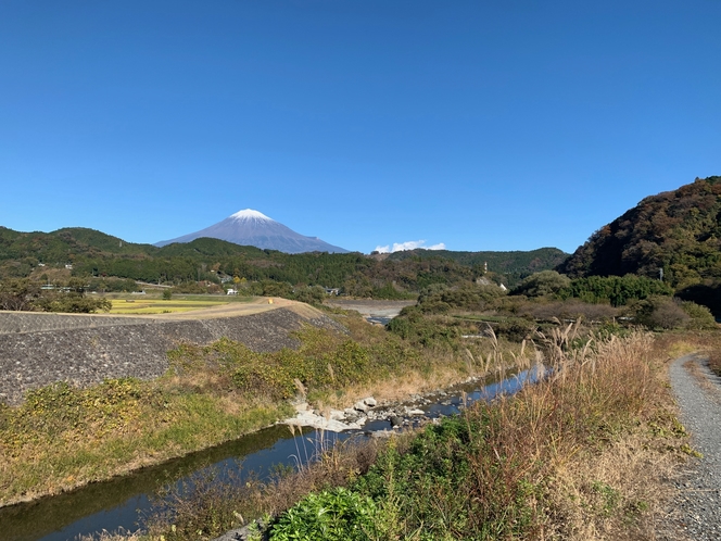 翠紅苑さくら周辺