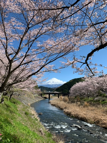 稲瀬川と富士山