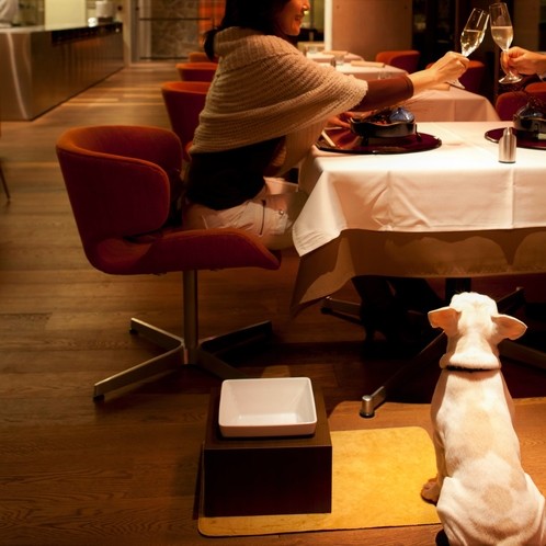 【レストラン】店内にも愛犬同伴が可能です。大自然に囲まれた上質でスタイリッシュな空間