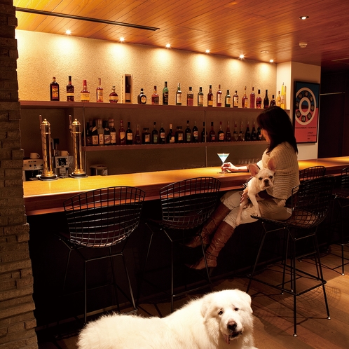 【カフェ・バー】愛犬のオリジナルカクテルが人気！一緒にバーを楽しむ夢のような空間