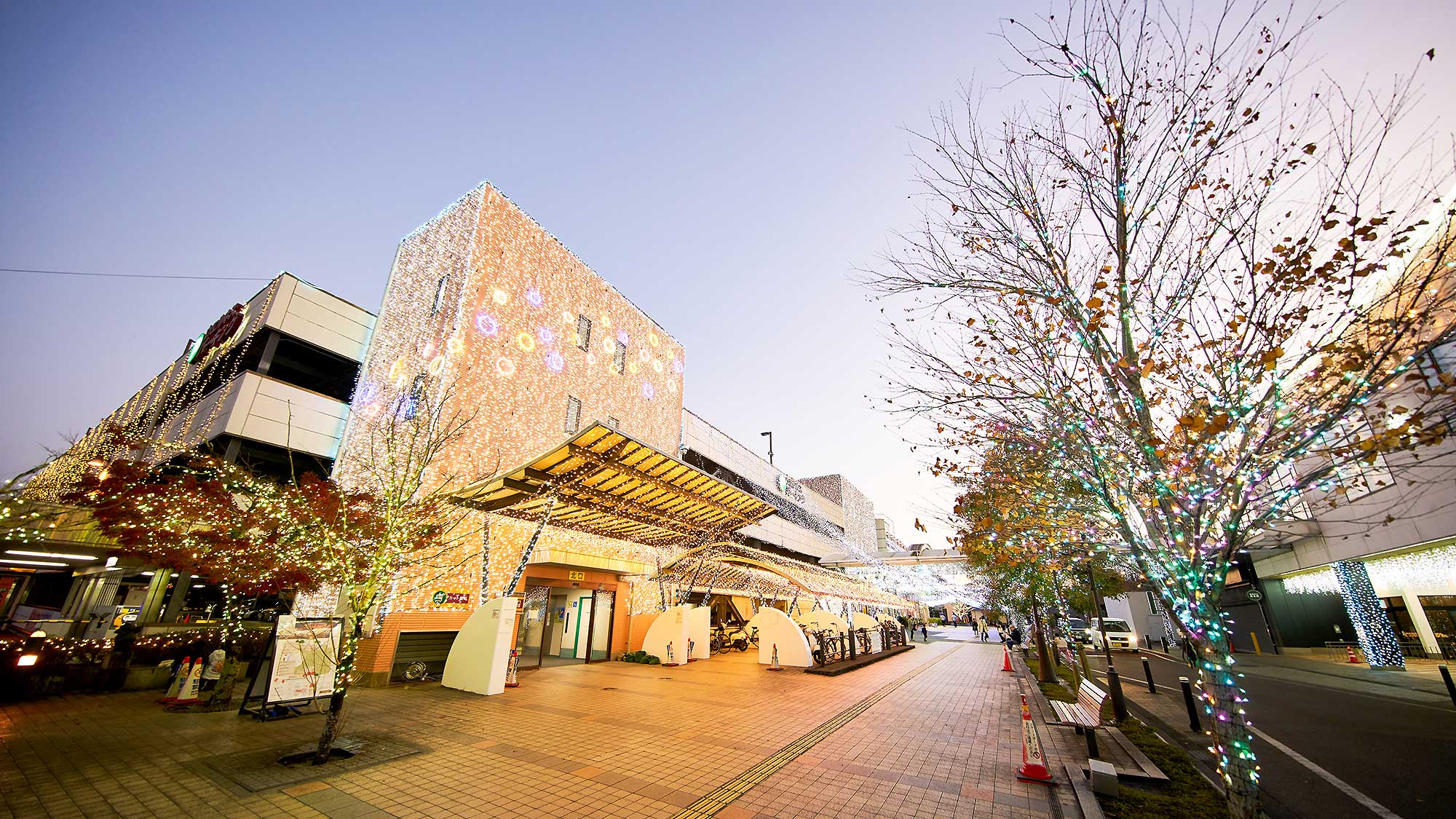 ・【周辺】全長約3kmの街路樹に光が灯る「日本一のイルミネーションストリート」