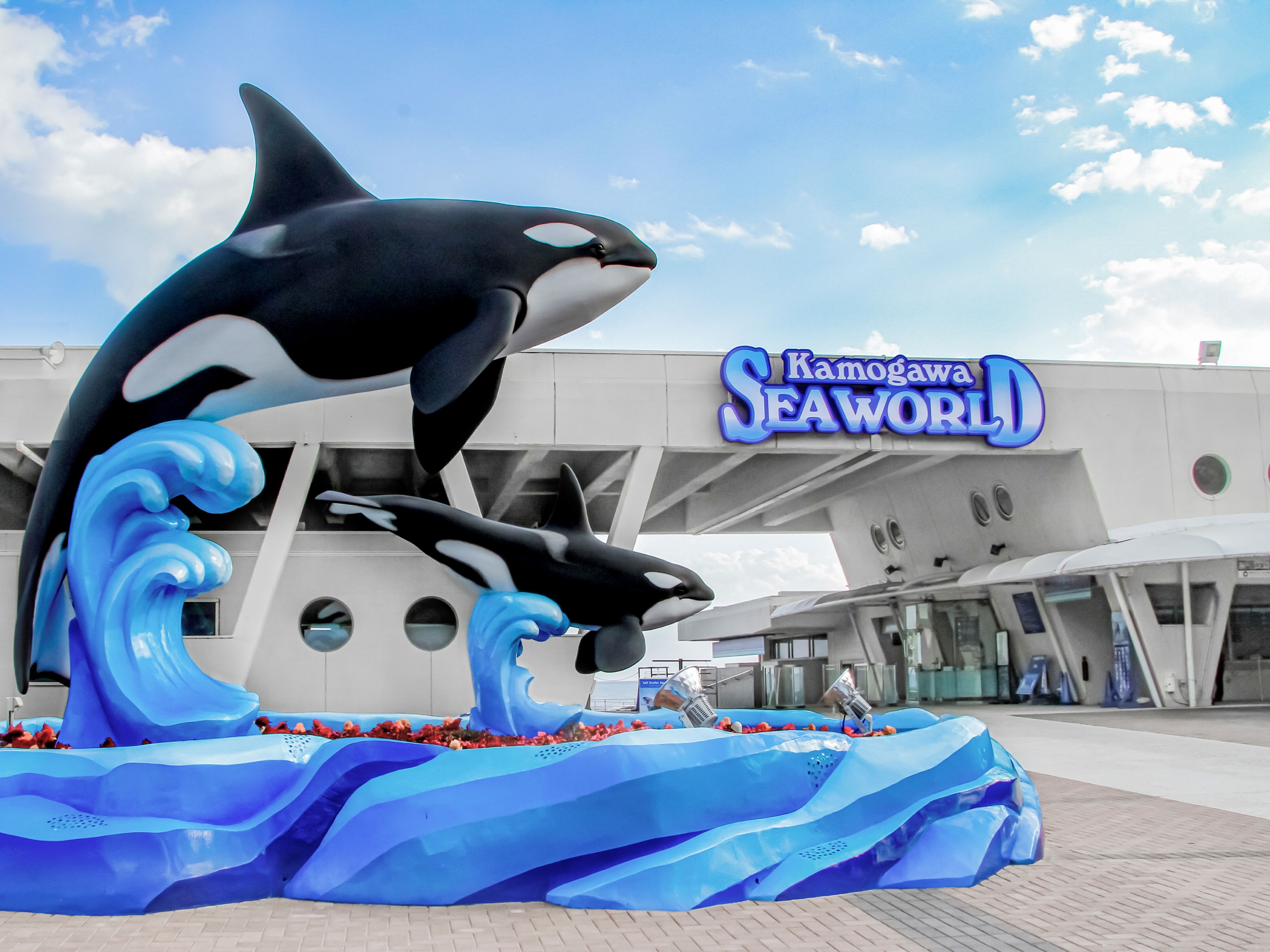 鴨川シーワールドまで当ホテルから車で約30分