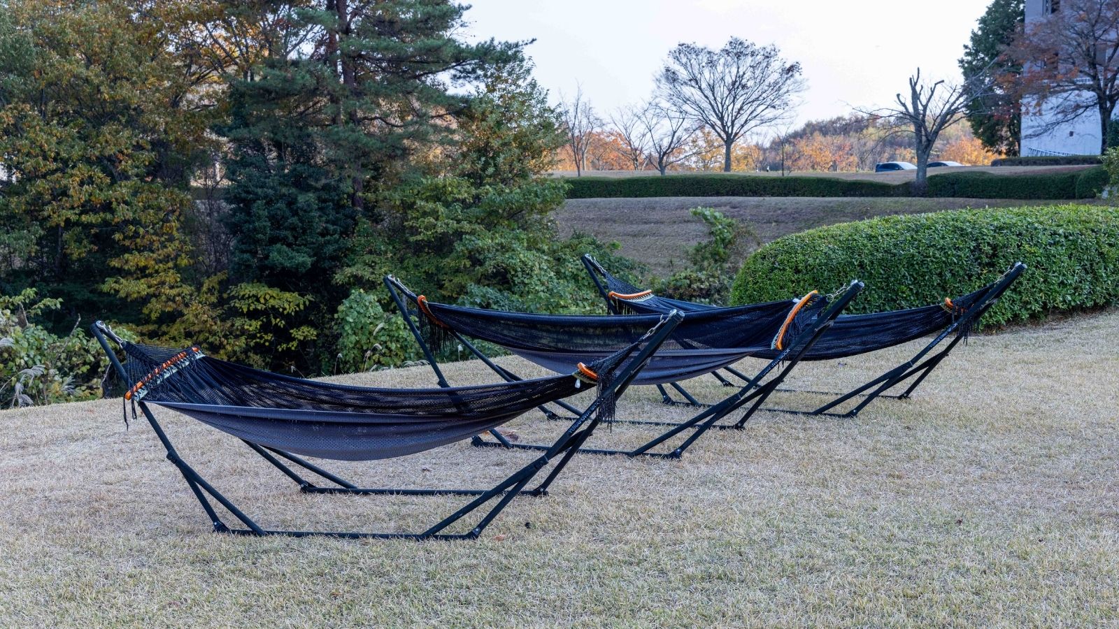 アチェロ外　ハンモック