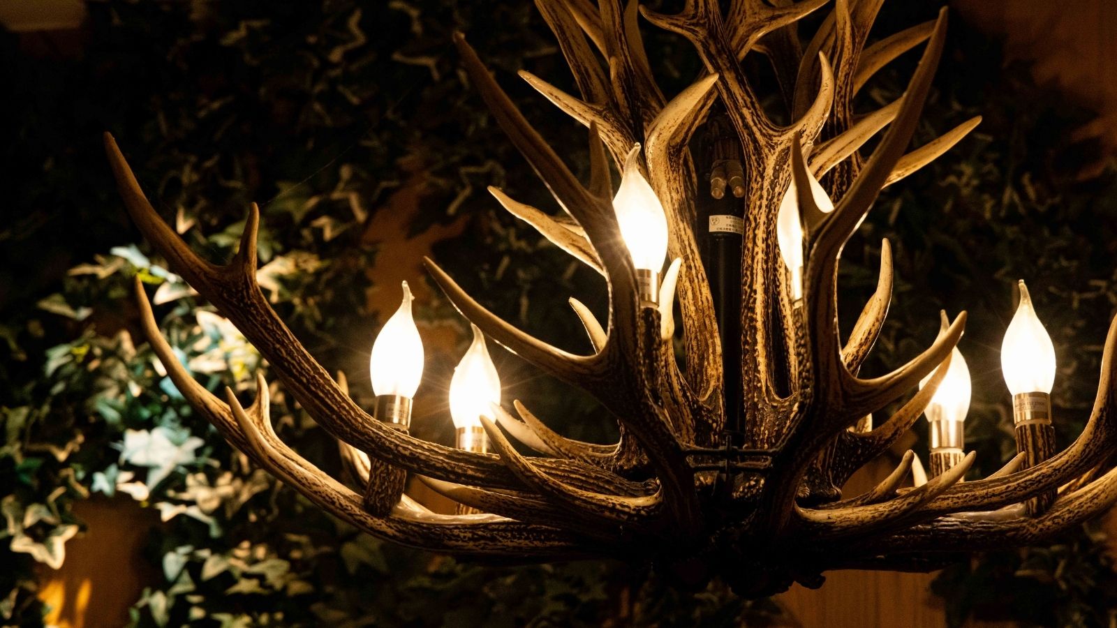 ラウンジそらカフェ　夜